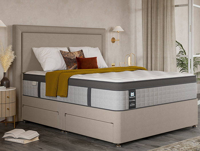 Caxton Plush Divan collection from Sealy at Forrest Furnishing