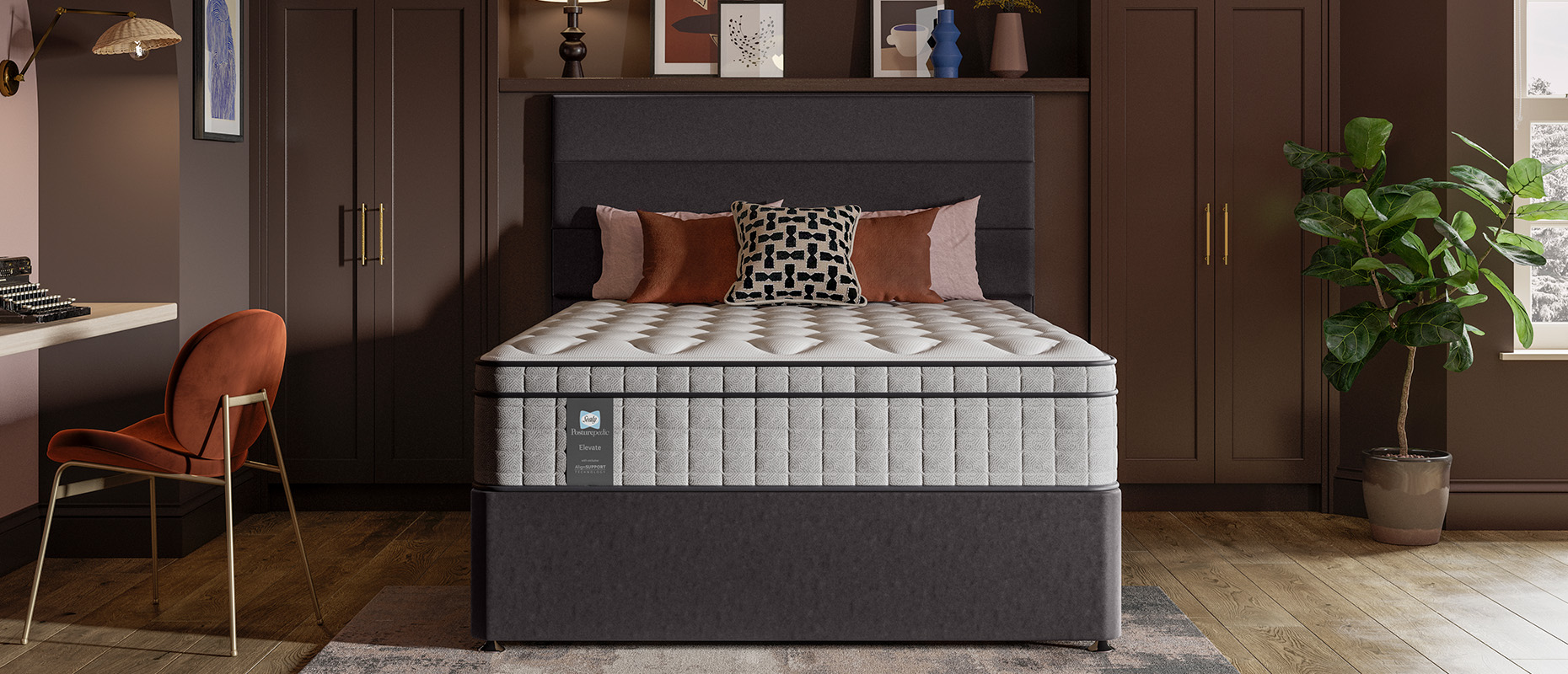 Frankel Medium Divan collection from Sealy at Forrest Furnishing