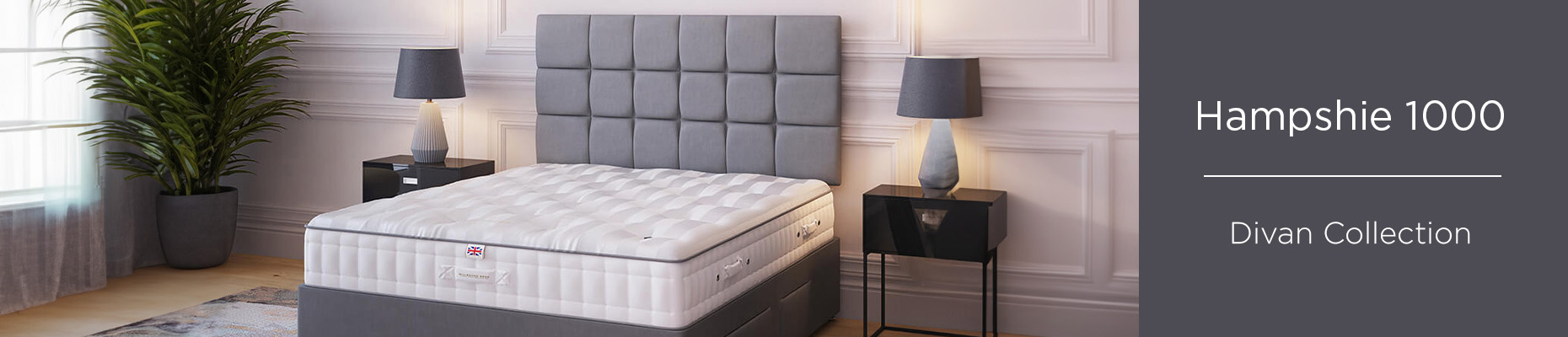 Hampshire Supreme 1000 Divan collection from Sealy at Forrest Furnishing