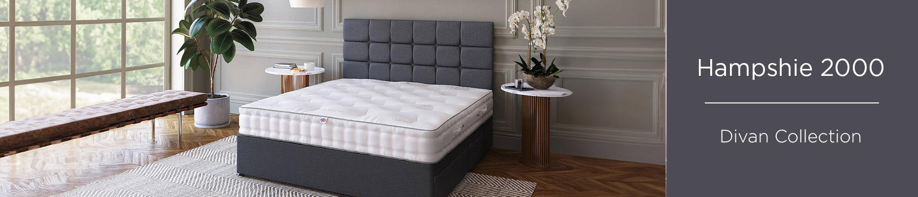 Hampshire Supreme 2000 Divan collection from Sealy at Forrest Furnishing
