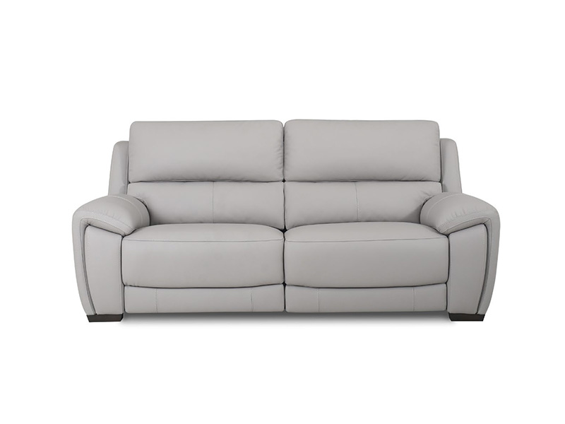 Echo 2.5 Seat Sofa Priced in Cat 20S Leather