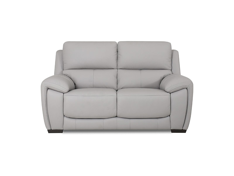 Echo 2 Seat Sofa Priced in Cat 20S Leather