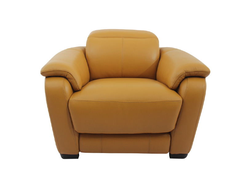 Fusion Power Recliner with Power Headrest